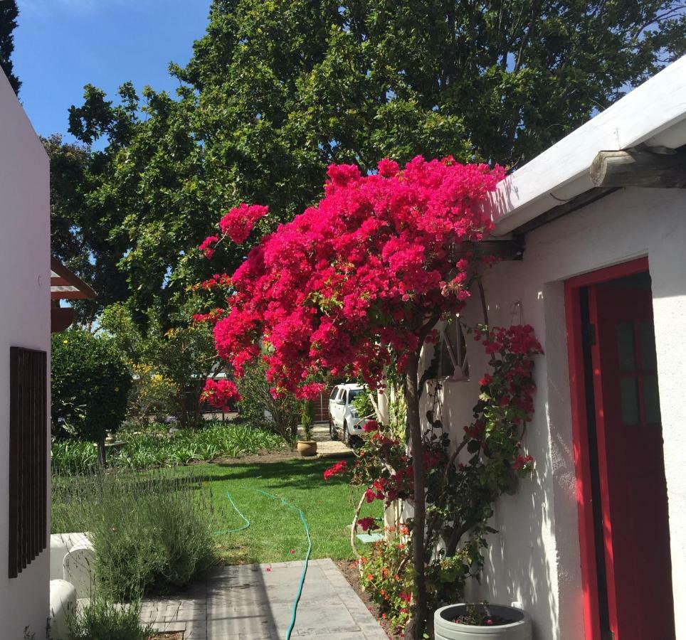 Acorn Cottage Hermanus Luaran gambar